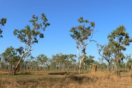 Photo of Kakadu, Northern Territory, Australia by Jade and Daniel