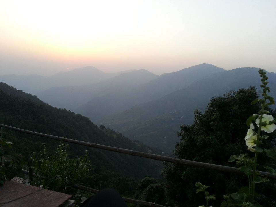 Photo of Pangot | 1 Night | Self Drive 8/9 by Niladri Mukherjee