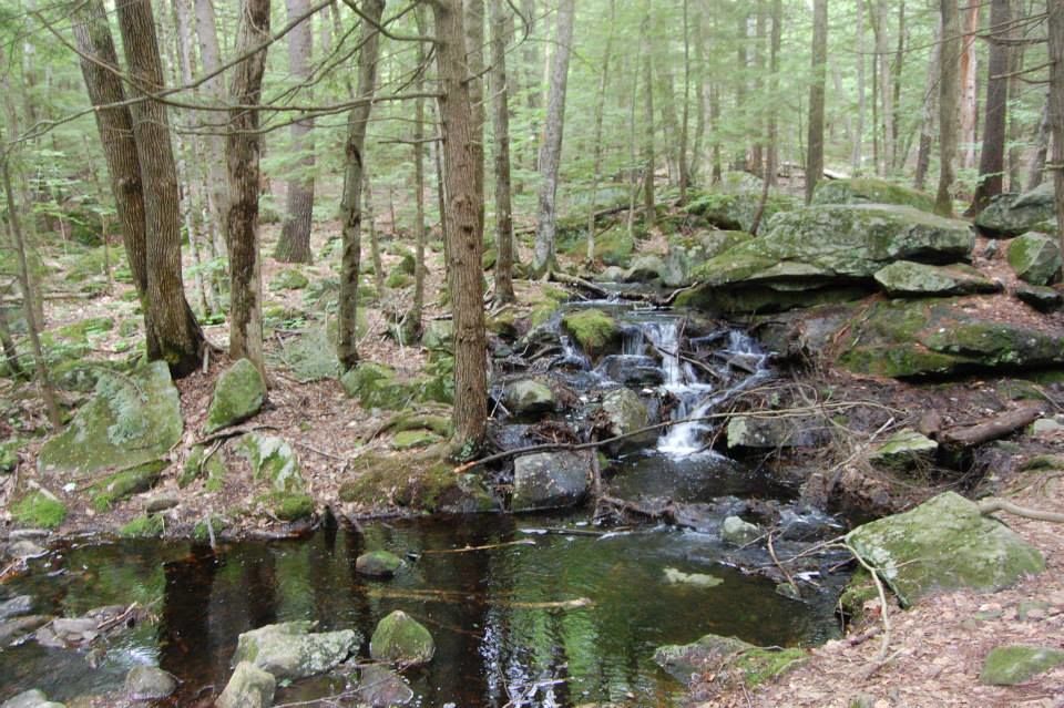 Photo of Northeastern Pancake Tour by Kim Smith