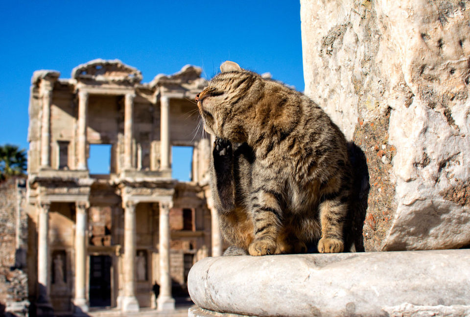 Photo of Ephesus – More than the Library of Celsus 1/10 by Calli & Travis