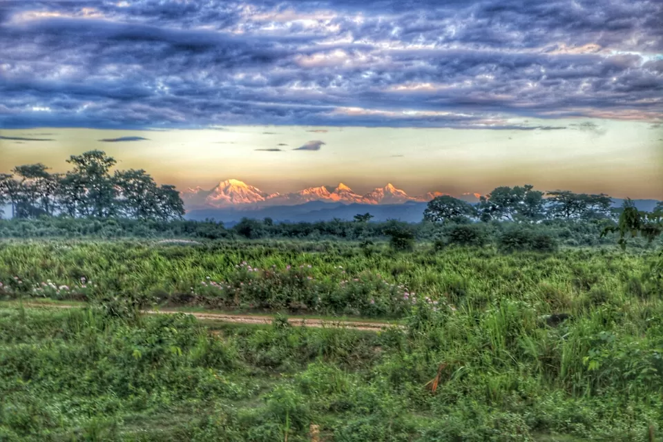 Photo of Kamrup by Shraddha Gosavi