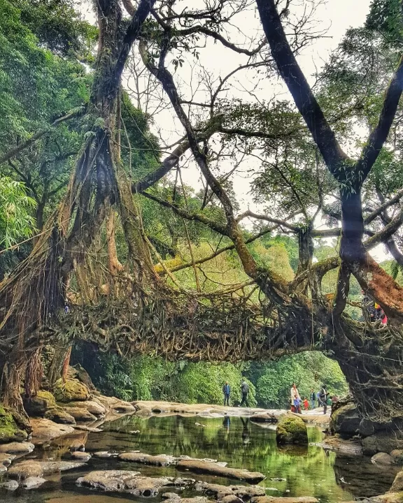 Photo of Kamrup by Shraddha Gosavi