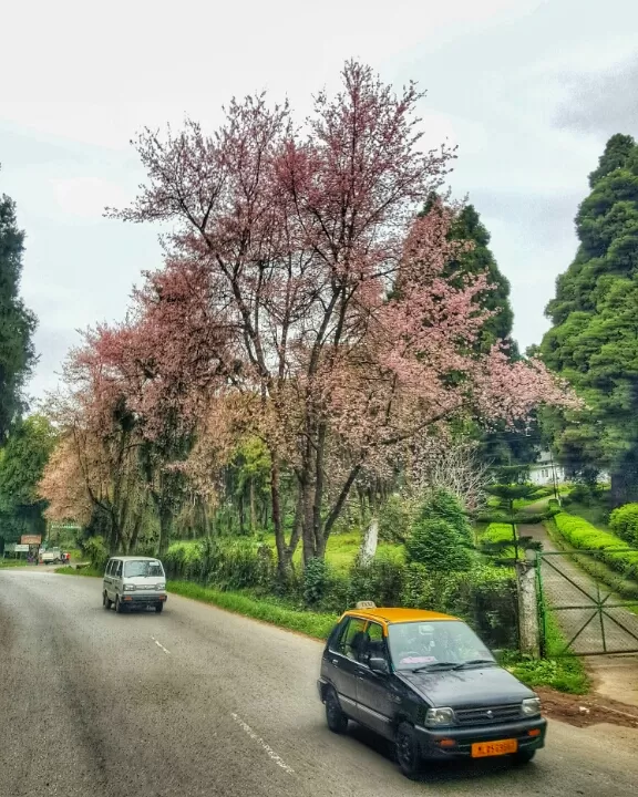 Photo of Kamrup by Shraddha Gosavi