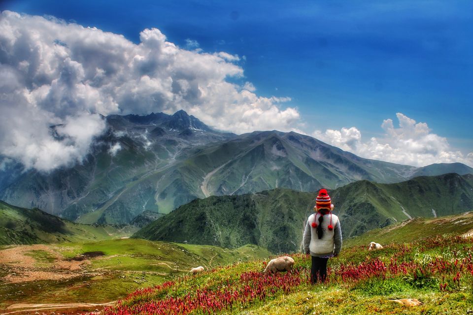 Photo of #Lettersfromtripoto by Sweety Kannoth