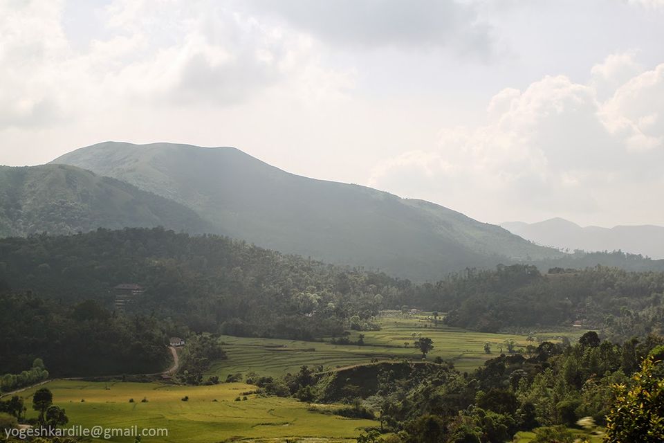 Photo of Kudremukh National Park - Shola Forest 1/59 by Yogesh Kardile