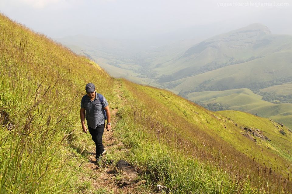 Photo of Kudremukh National Park - Shola Forest 12/59 by Yogesh Kardile