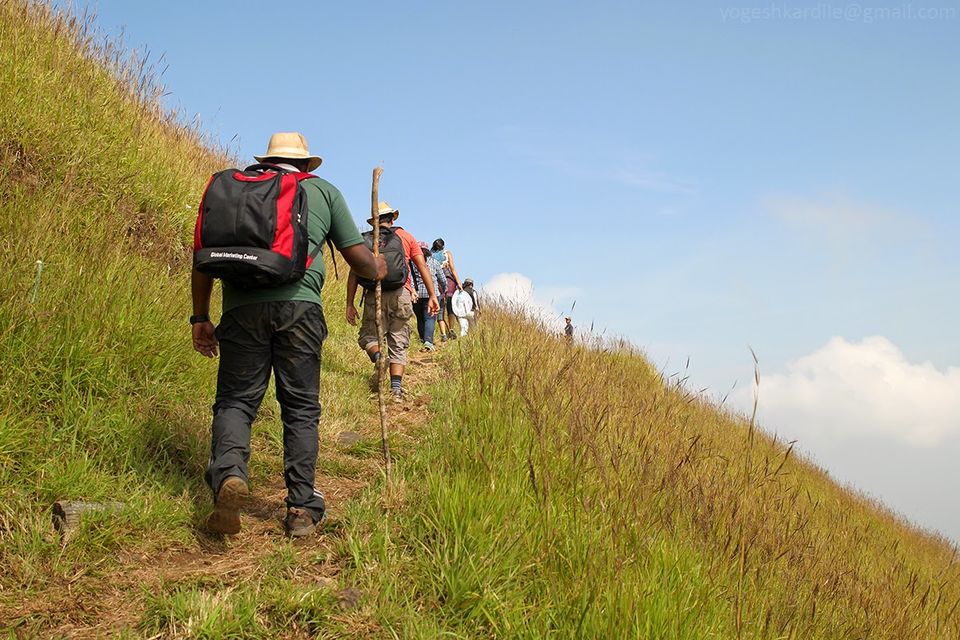 Photo of Kudremukh National Park - Shola Forest 13/59 by Yogesh Kardile