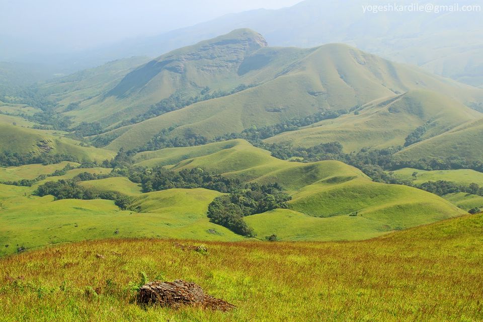 Photo of Kudremukh National Park - Shola Forest 16/59 by Yogesh Kardile