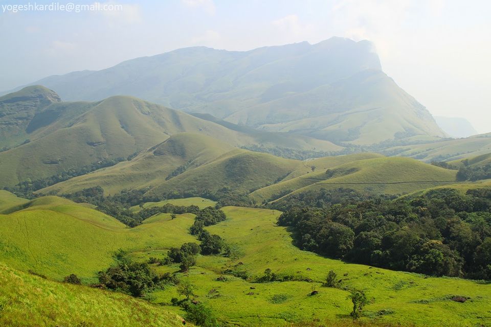 Photo of Kudremukh National Park - Shola Forest 19/59 by Yogesh Kardile