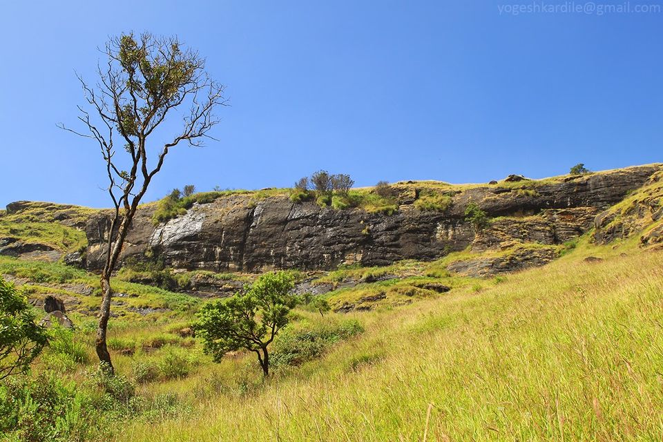 Photo of Kudremukh National Park - Shola Forest 20/59 by Yogesh Kardile