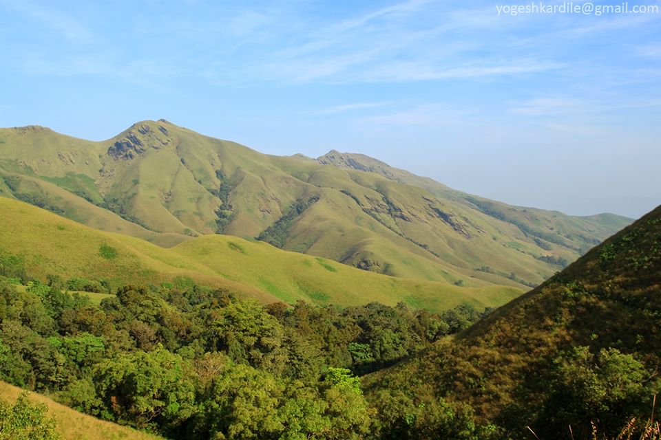 Photo of Kudremukh National Park - Shola Forest 27/59 by Yogesh Kardile