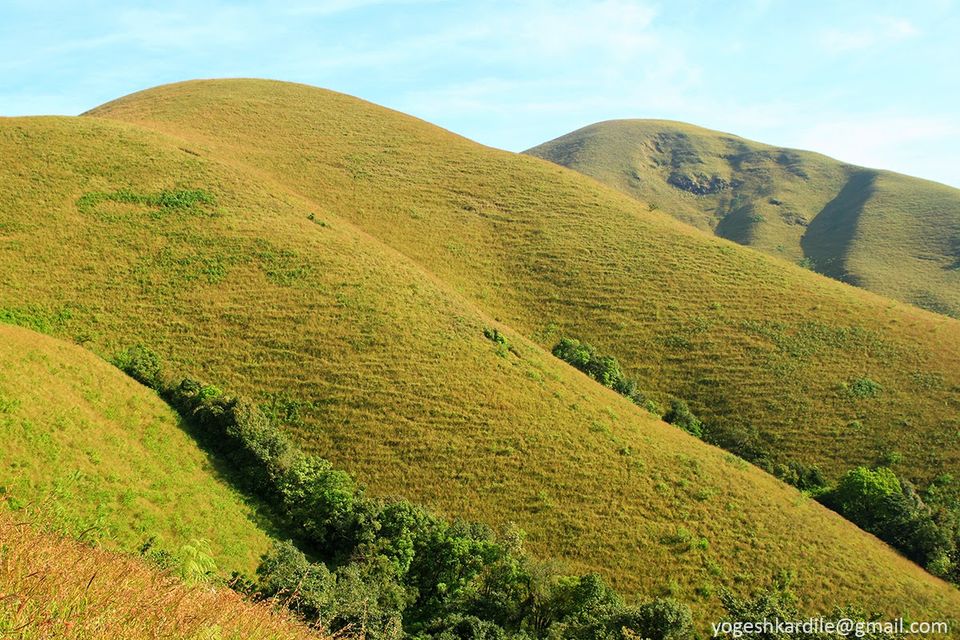 Photo of Kudremukh National Park - Shola Forest 29/59 by Yogesh Kardile