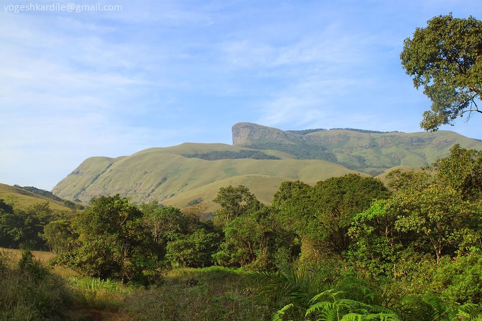 Photo of Kudremukh National Park - Shola Forest 34/59 by Yogesh Kardile