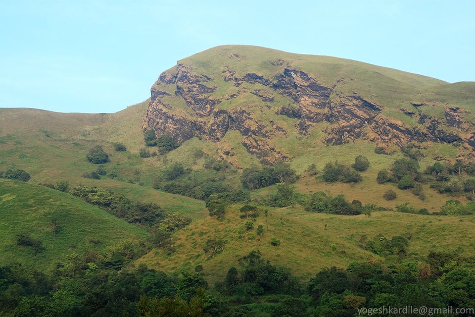 Photo of Kudremukh National Park - Shola Forest 39/59 by Yogesh Kardile