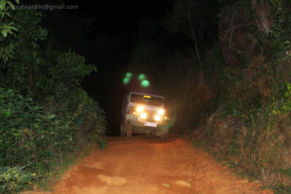 Photo of Kudremukh National Park - Shola Forest 51/59 by Yogesh Kardile