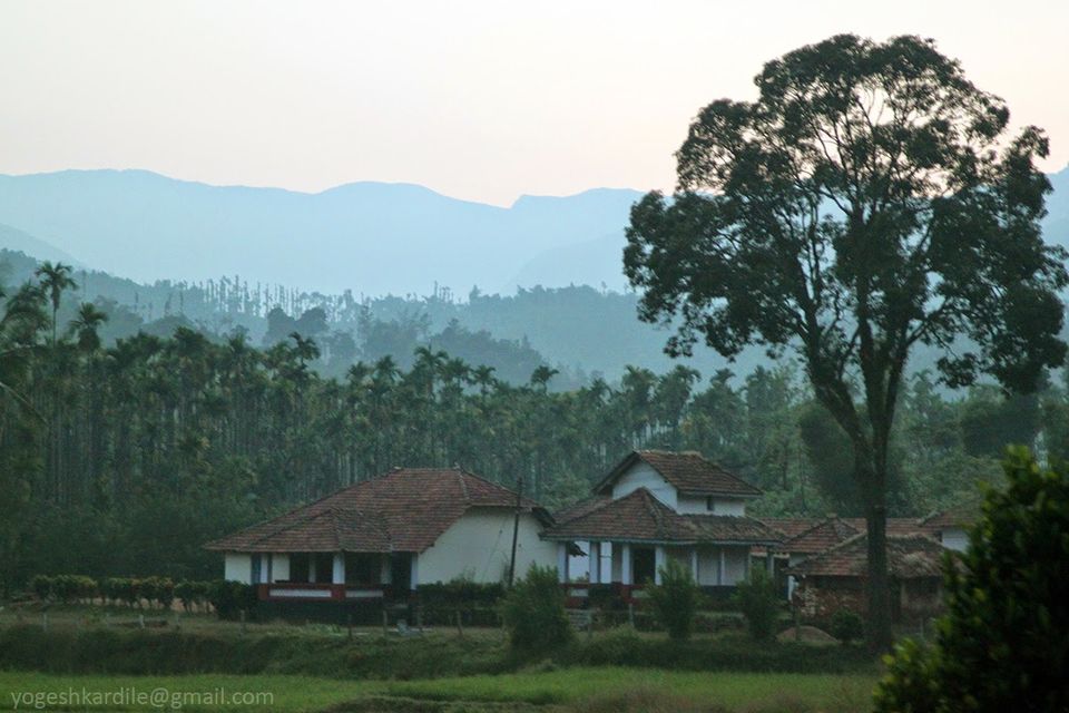 Photo of Kudremukh National Park - Shola Forest 53/59 by Yogesh Kardile
