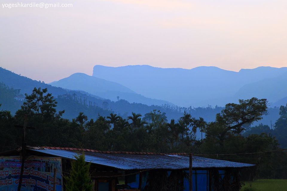Photo of Kudremukh National Park - Shola Forest 55/59 by Yogesh Kardile
