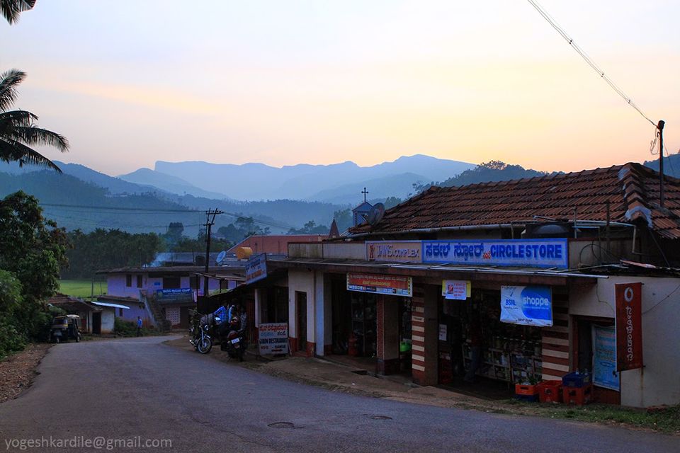Photo of Kudremukh National Park - Shola Forest 56/59 by Yogesh Kardile
