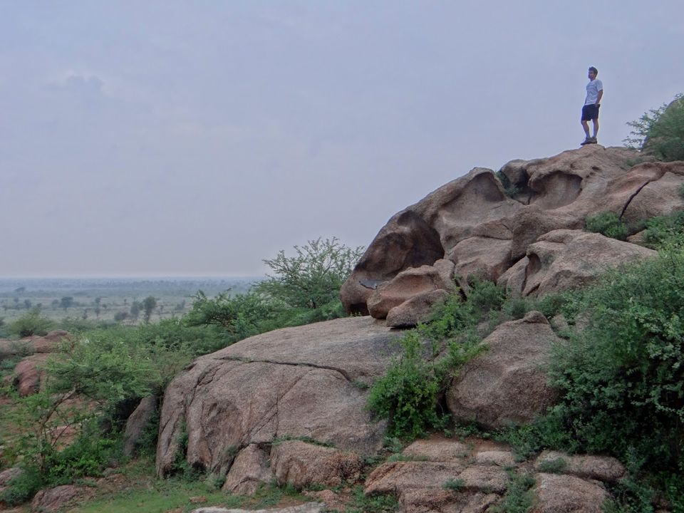 Photo of The magic of Rural Rajasthan 13/17 by Gaurav Bhatnagar
