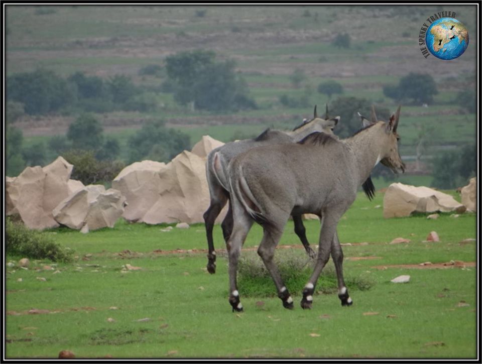 Photo of Bundi, Rajasthan – A rustic legacy 4/10 by Gaurav Bhatnagar