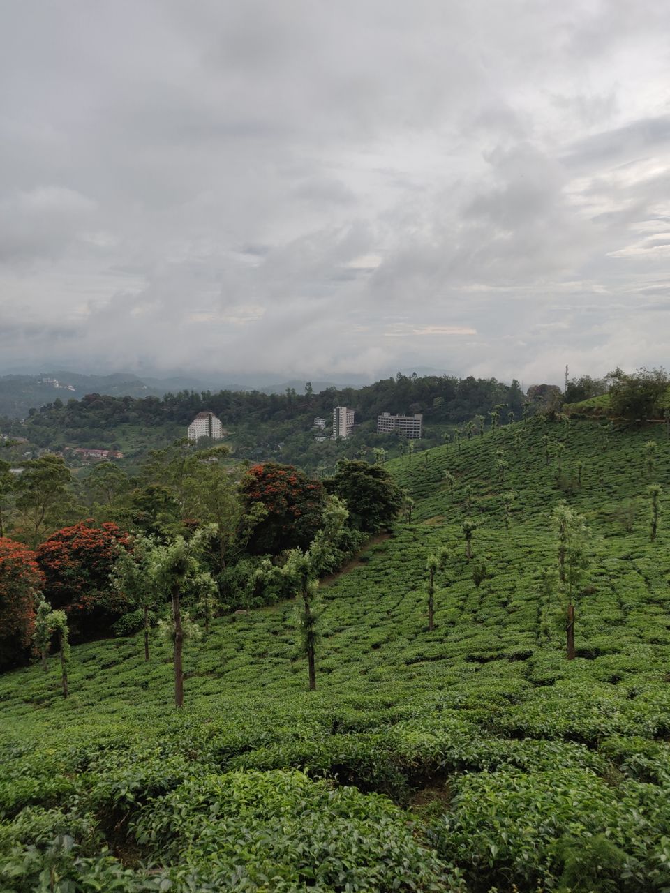 Photo of Visiting God's own country in 4 days - Kerala #SouthIndiaItinerary by Savpril Salwan