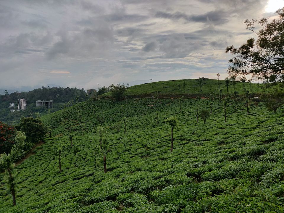 Photo of Visiting God's own country in 4 days - Kerala #SouthIndiaItinerary by Savpril Salwan