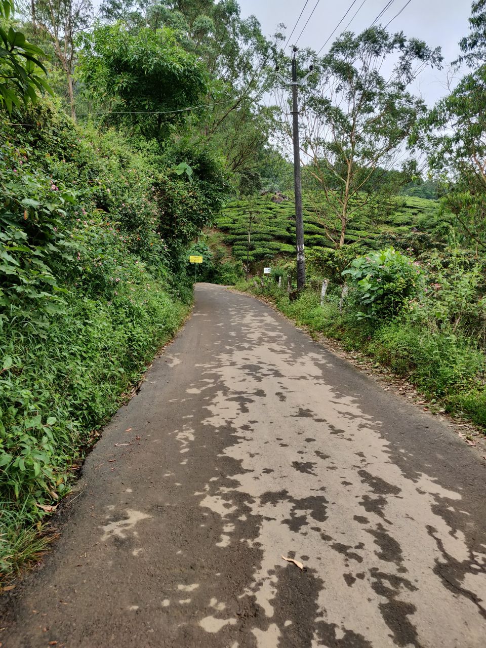 Photo of Visiting God's own country in 4 days - Kerala #SouthIndiaItinerary by Savpril Salwan