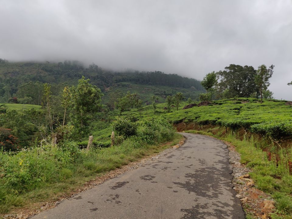 Photo of Visiting God's own country in 4 days - Kerala #SouthIndiaItinerary by Savpril Salwan