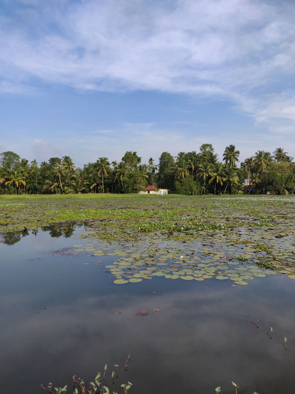 Photo of Visiting God's own country in 4 days - Kerala #SouthIndiaItinerary by Savpril Salwan