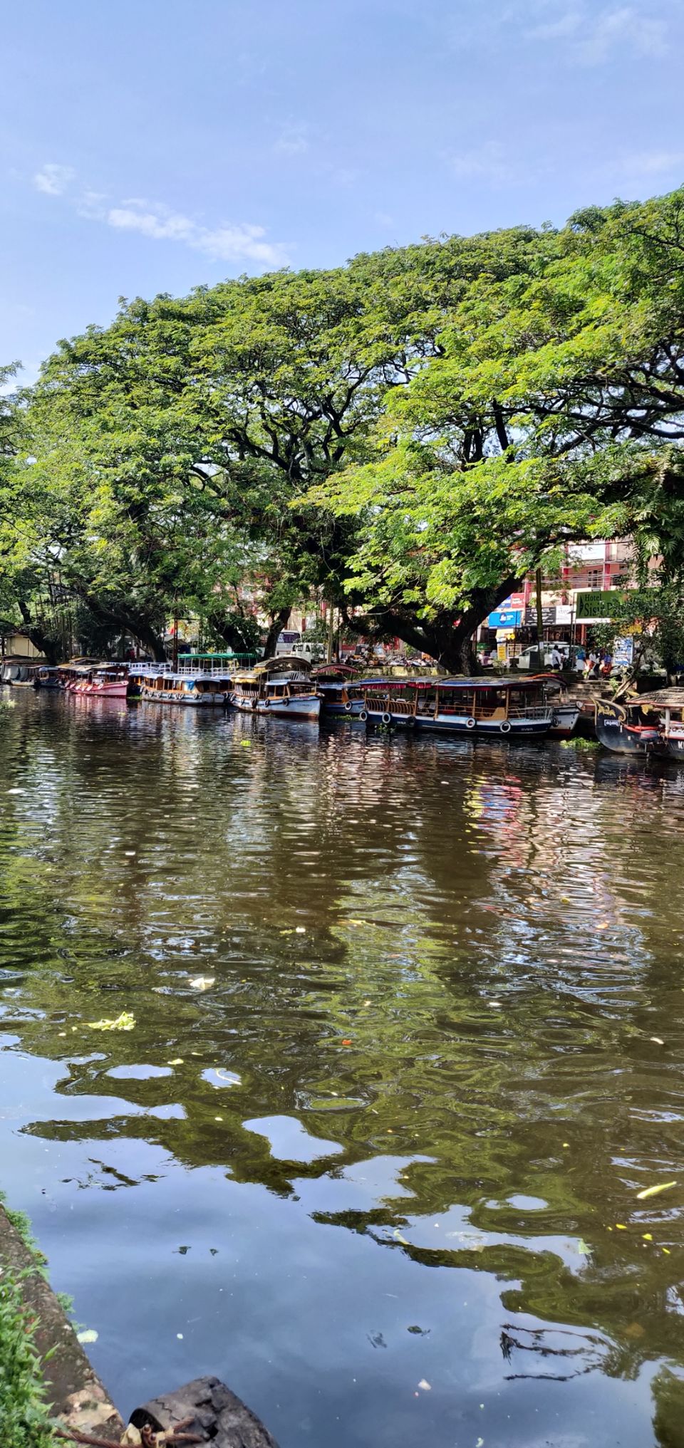 Photo of Visiting God's own country in 4 days - Kerala #SouthIndiaItinerary by Savpril Salwan
