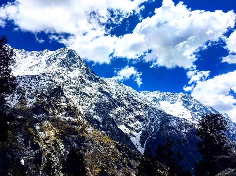 Photo of Triund, Himachal Pradesh by Savpril Salwan