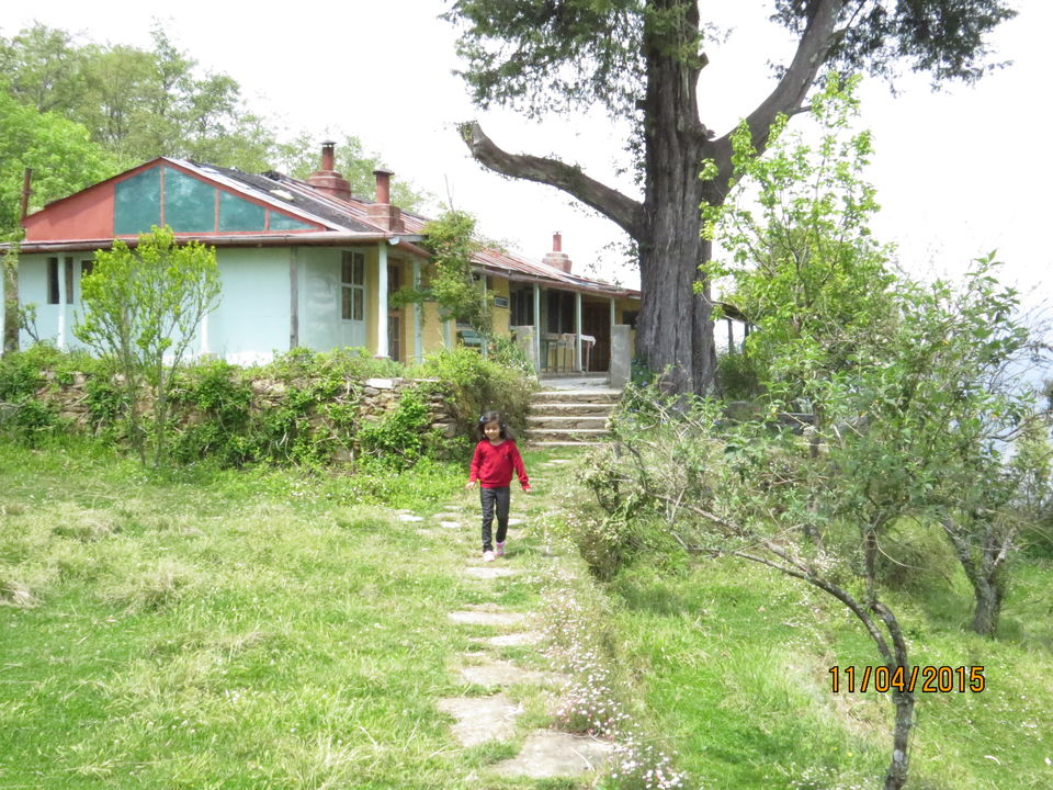 Photo of Jiling 5/26 by Soma