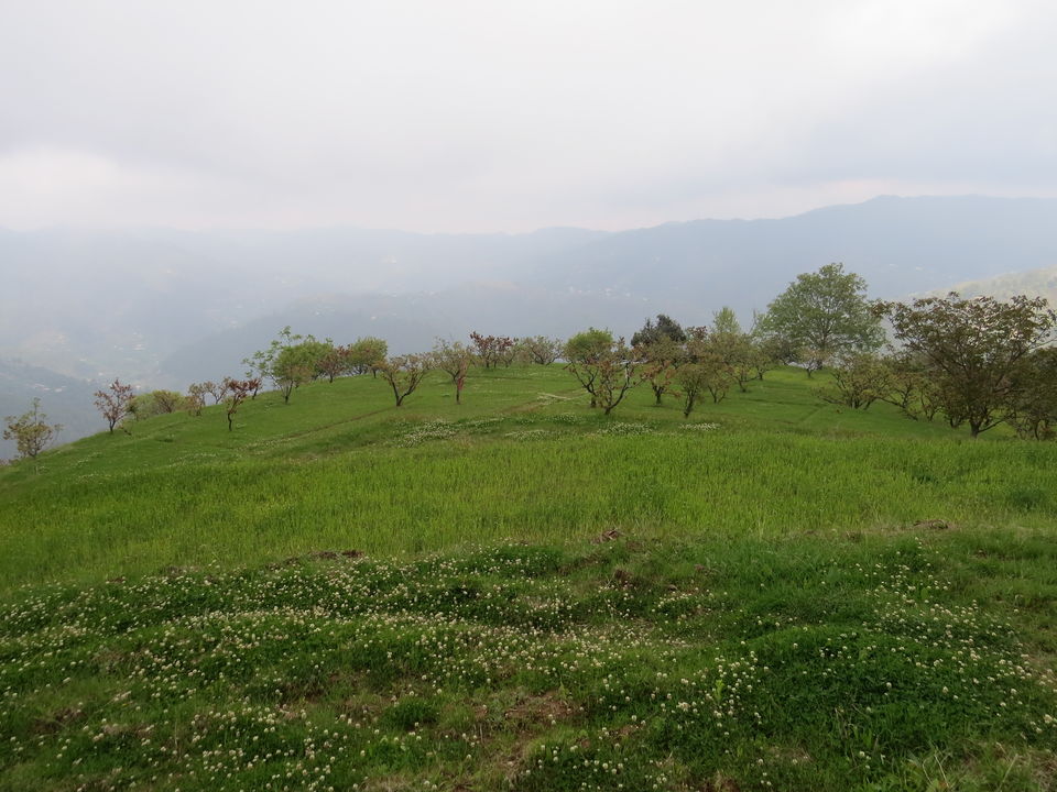 Photo of Jiling 16/26 by Soma