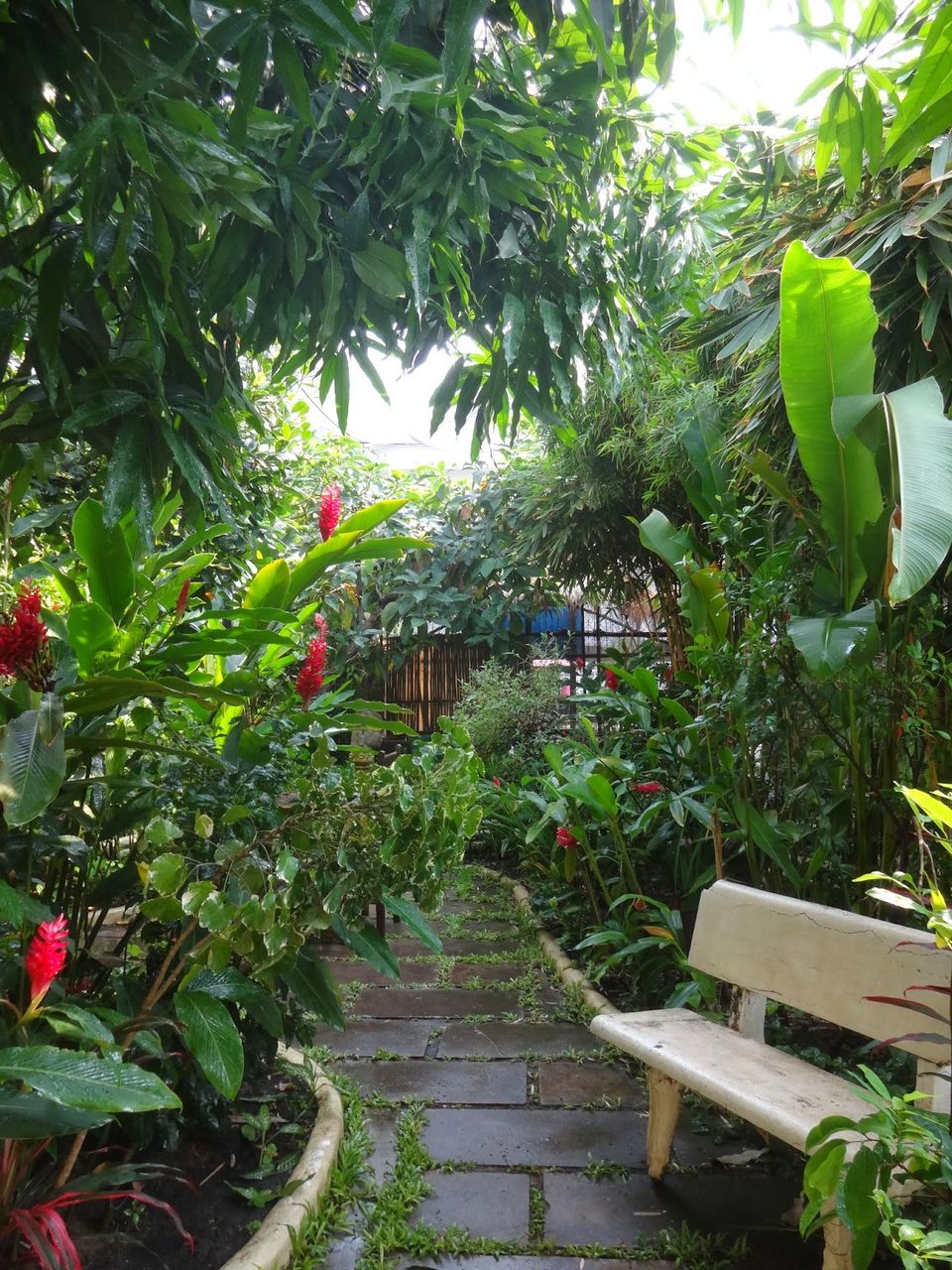 Photo of Butterflies Garden, Krong Siem Reap, Siem Reap, Cambodia by Lydia C. Lee