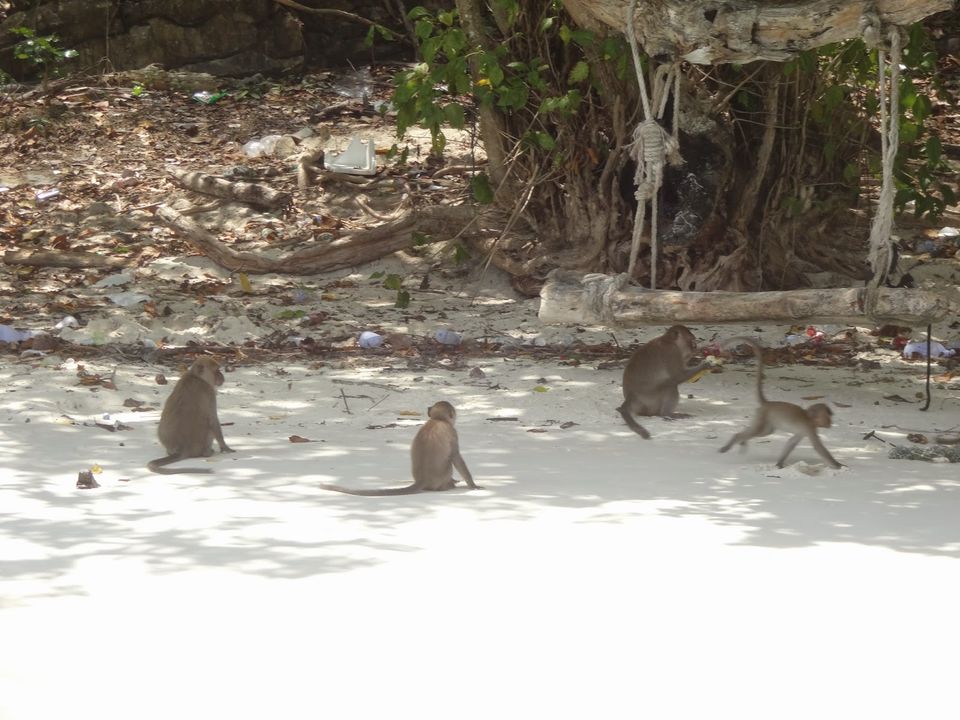 Photo of Messing about in Boats on Phi Phi, Thailand 2/14 by Lydia C. Lee