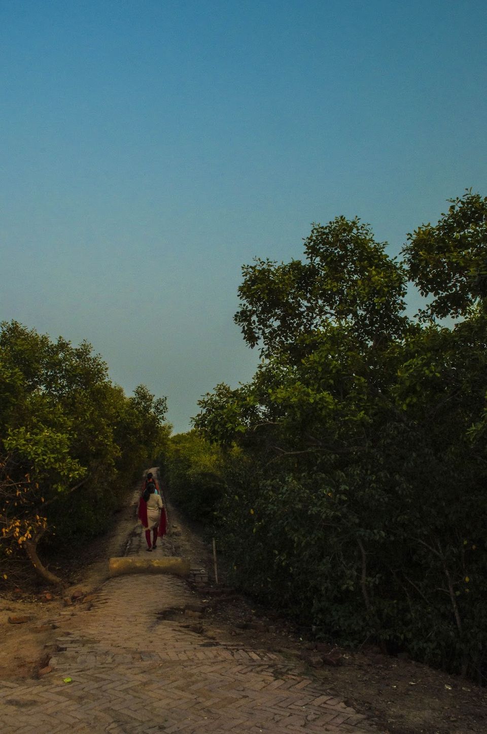 Photo of Henry Island Near Kolkata Is Its Very Own Private Beach 1/10 by Atreya Nath
