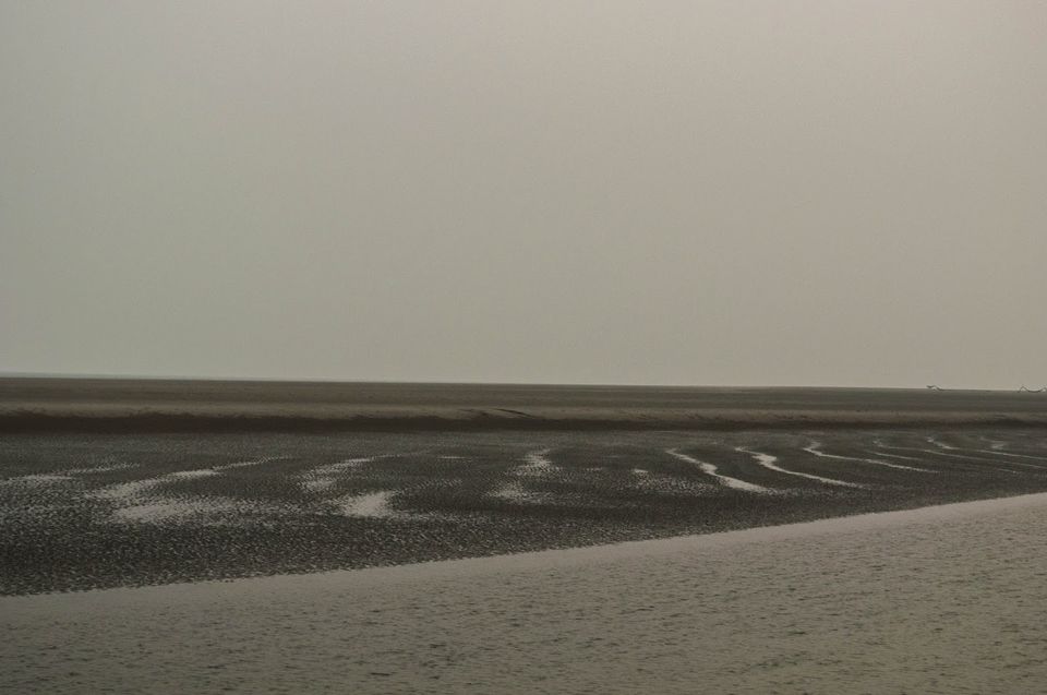 Photo of Henry Island Near Kolkata Is Its Very Own Private Beach 6/10 by Atreya Nath