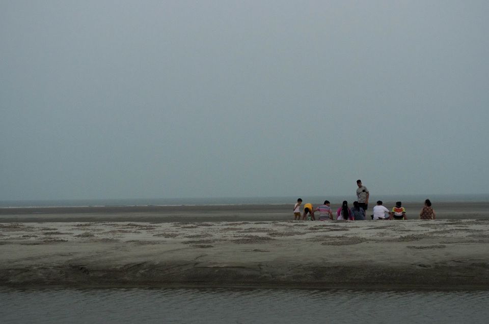 Photo of Henry Island Near Kolkata Is Its Very Own Private Beach 7/10 by Atreya Nath
