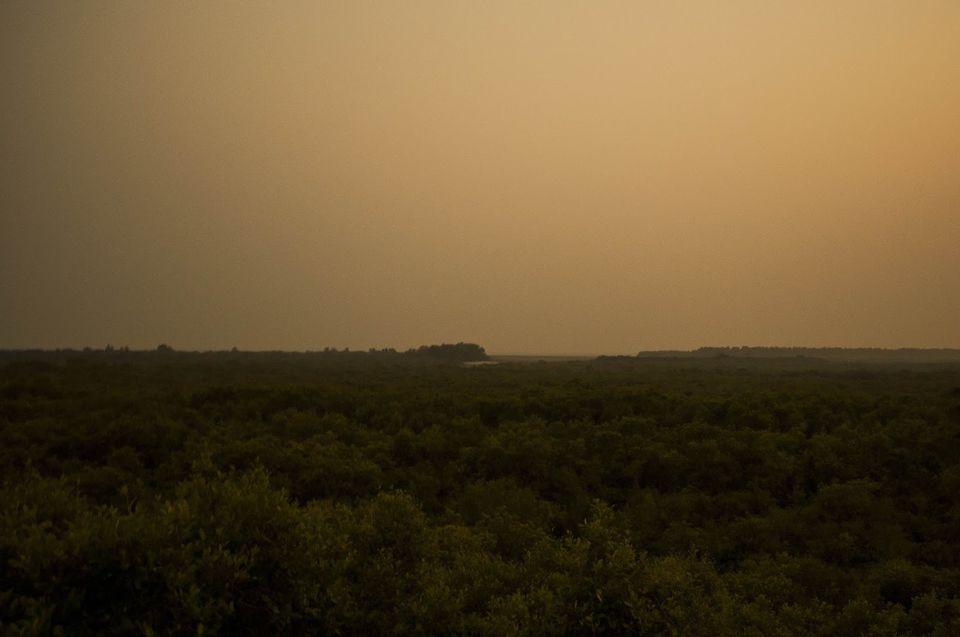 Photo of Henry Island Near Kolkata Is Its Very Own Private Beach 8/10 by Atreya Nath