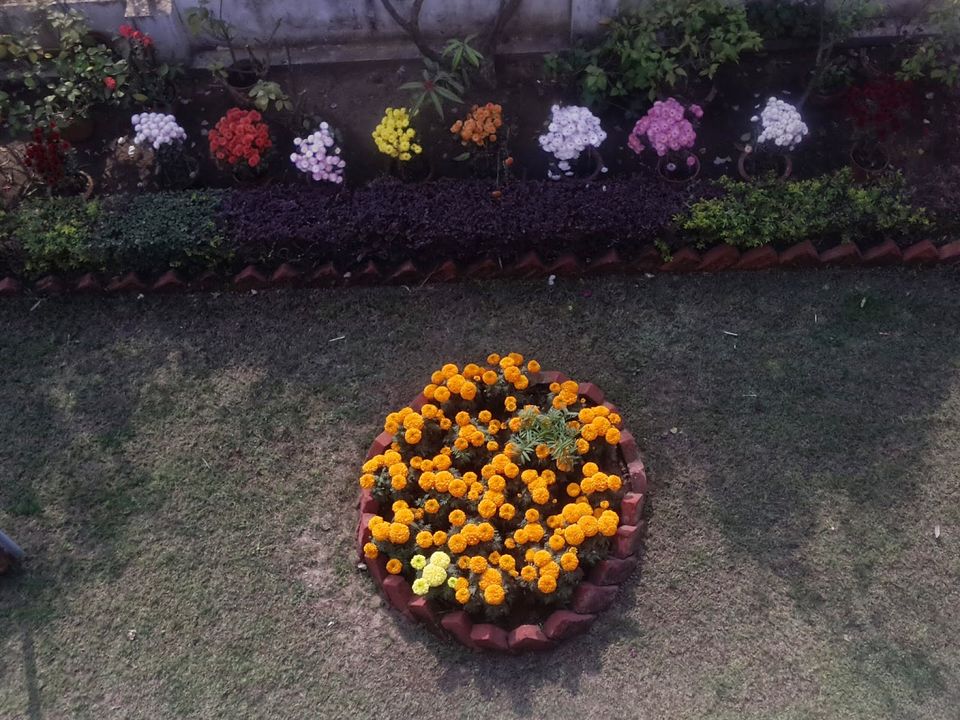 Photo of Diary 2: A ride through Shantiniketan (Poush Mela Memories) 4/8 by Atreya Nath