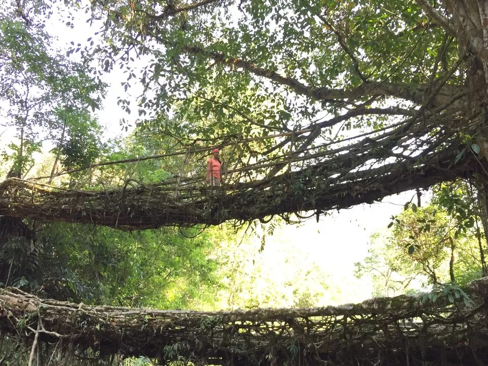 Photo of Nongriat, Meghalaya, India by Sanjana Gupta