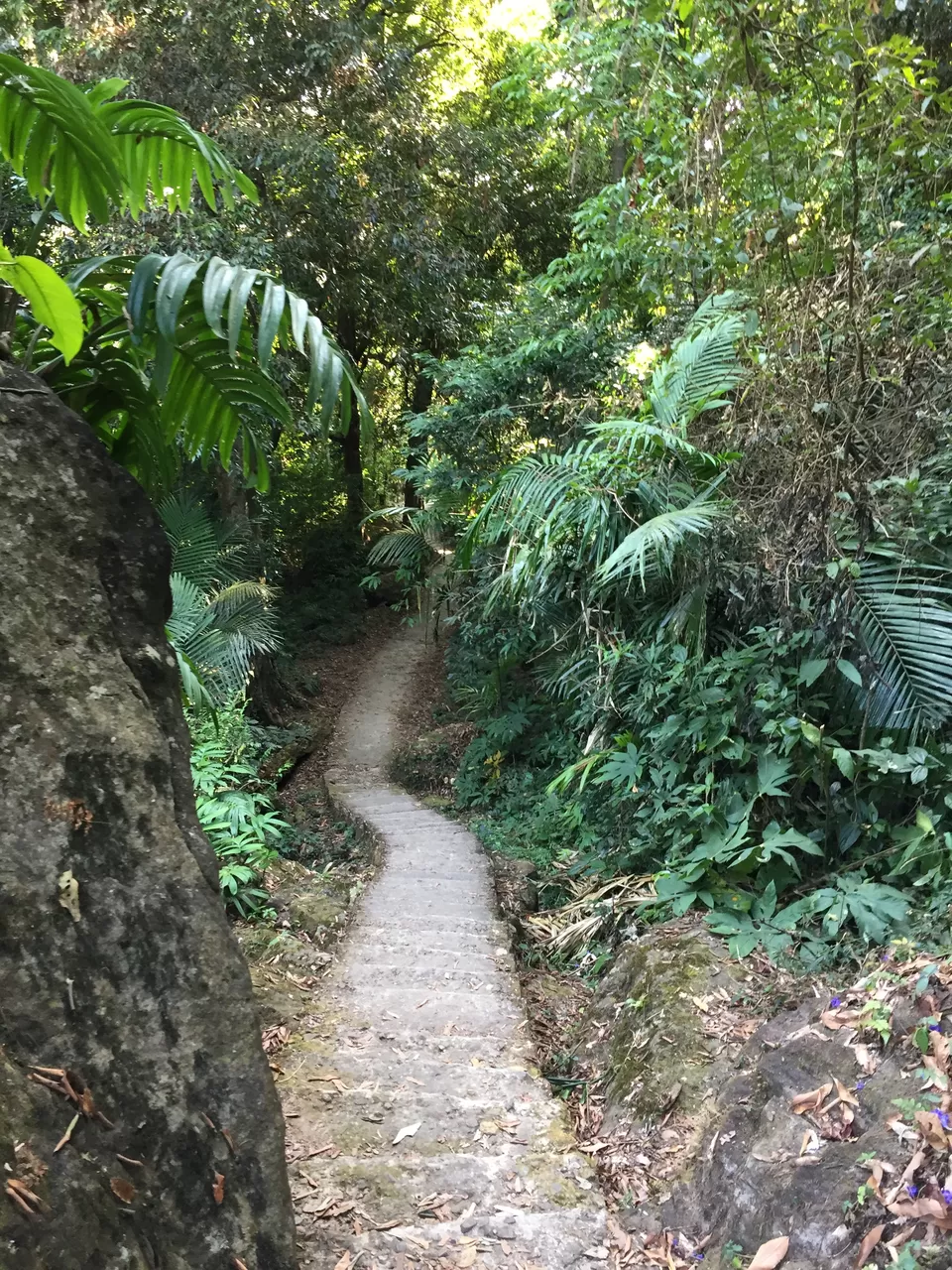 Photo of Nongriat, Meghalaya, India by Sanjana Gupta