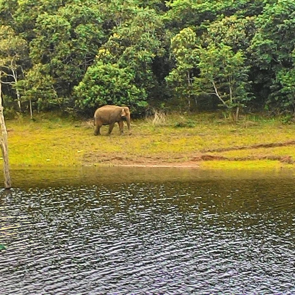 Photo of The Western Ghats of Kerala: One man, one motorcycle, one backpack. 33/36 by Vinay Kr