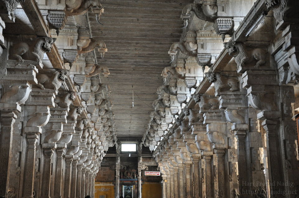 Photo of Backpacking Tamil Nadu, The Land Of Temples. 12/15 by Vinay Kr