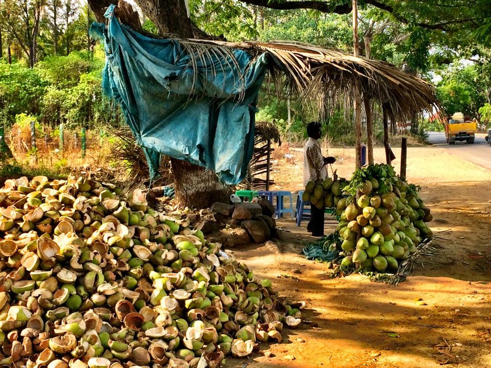 Photo of Bangalore, Karnataka, India by Lavi