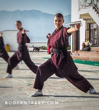 Photo of The Kung Fu Nuns of Nepal 1/10 by Swati Jain