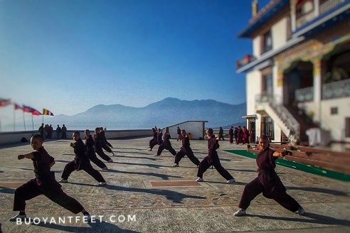 Photo of The Kung Fu Nuns of Nepal 2/10 by Swati Jain