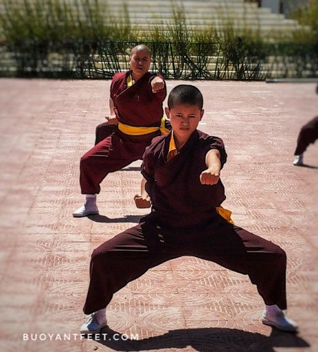 Photo of The Kung Fu Nuns of Nepal 9/10 by Swati Jain