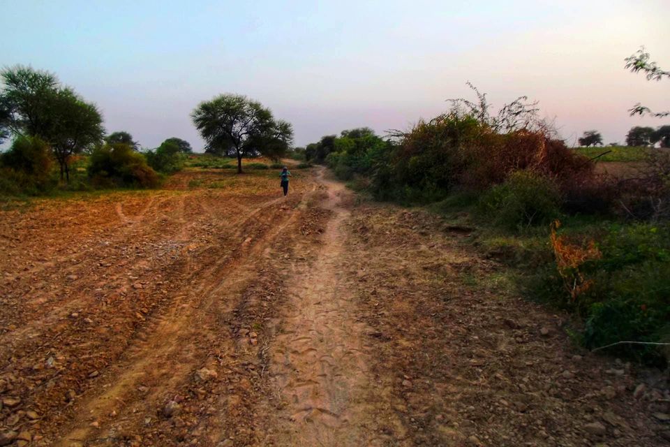 Photo of Chambal, Etawah, Uttar Pradesh, India by Swati Jain