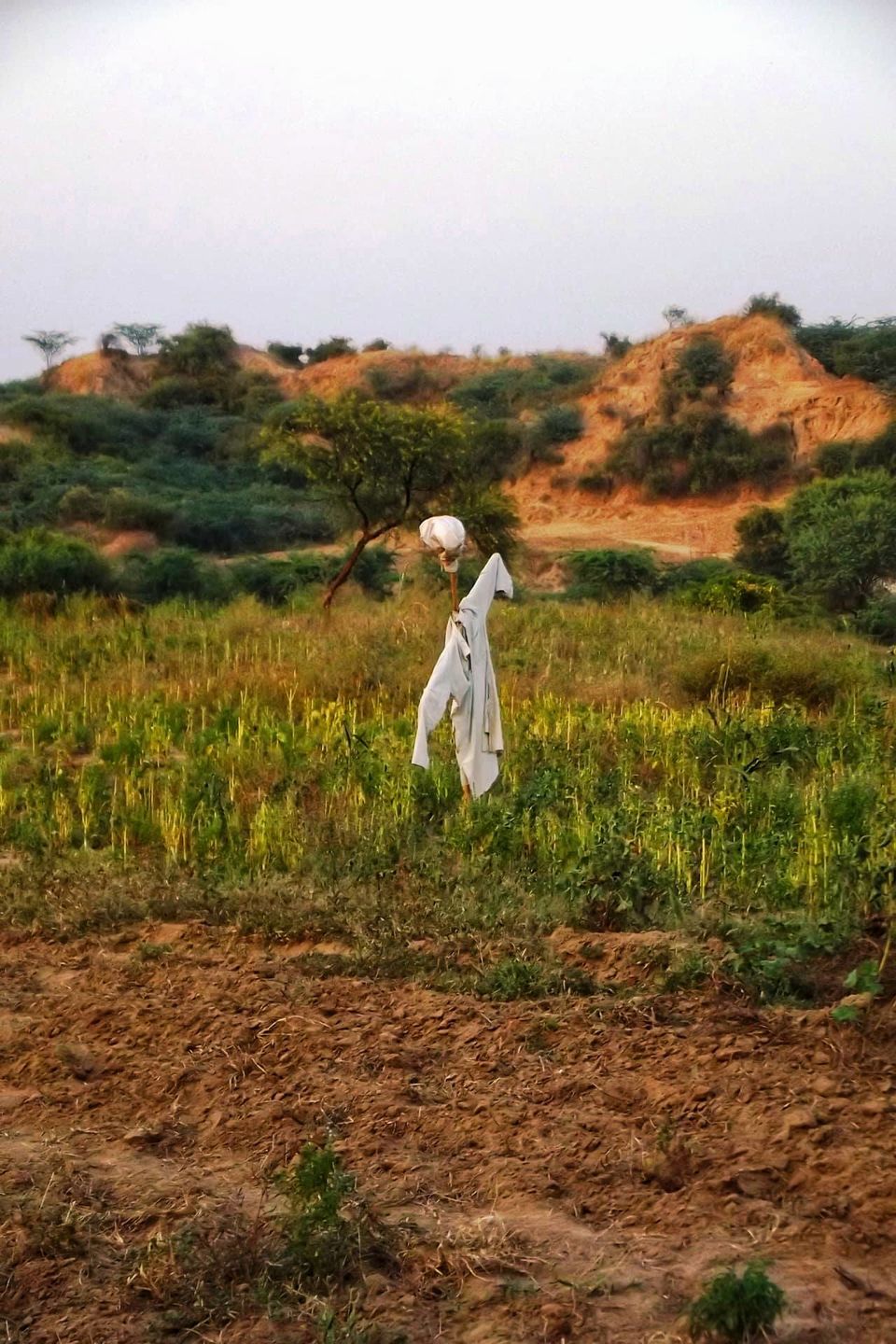 Photo of What is Inside the Forbidden Land of Chambal? by Swati Jain